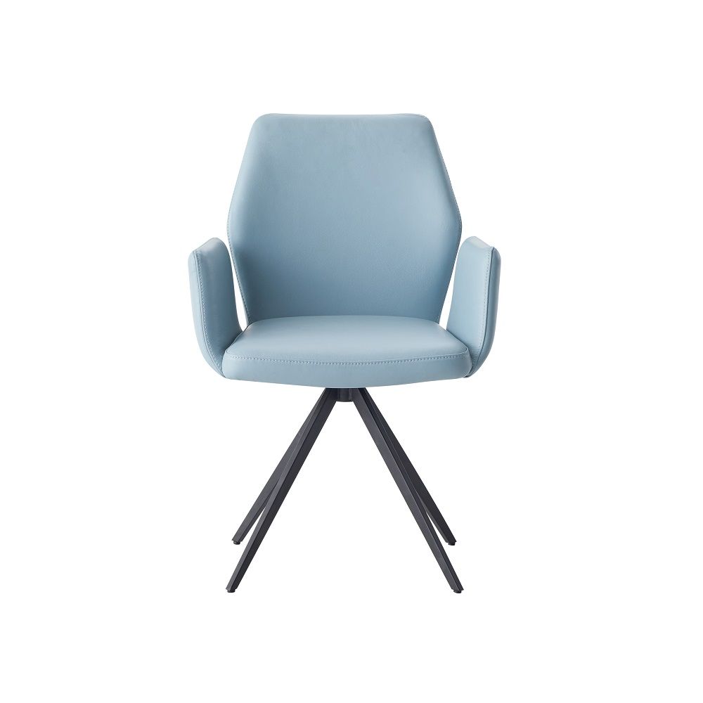 Segis Leather Chair