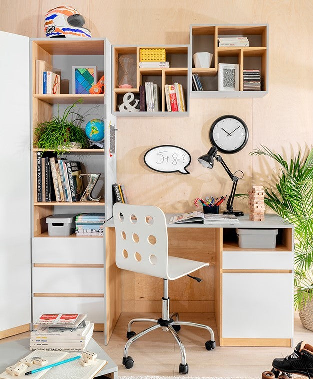 Nandu Desk BIU1S