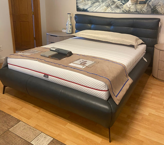 Willow Leather Queen Size Bed