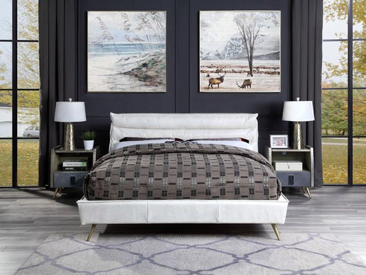 Doris Leather Queen Bed BD00565Q