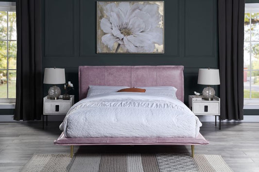 Metis Queen Bed BD00561Q