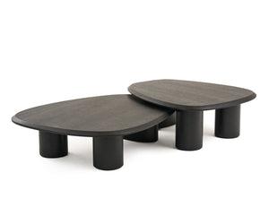 Summitv - Modern Ash Coffee Table Set