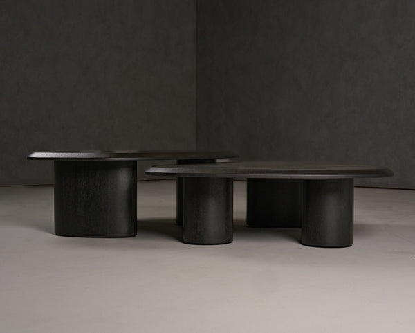 Summitv - Modern Ash Coffee Table Set